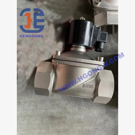 DIN China Factory Two Way 304 Brass Bronze Stainless Steel NPT Bsp Pn100 Solenoid Control Air Solenoid Valve